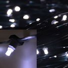 Гирлянда светодиодная клип-лайт LED-CCРL-333-100М-12V WHITE (белый)