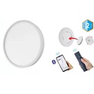 Светодиодный настенно-потолочный светильник с управлением Flora 2.4G Infinite dimming-48W